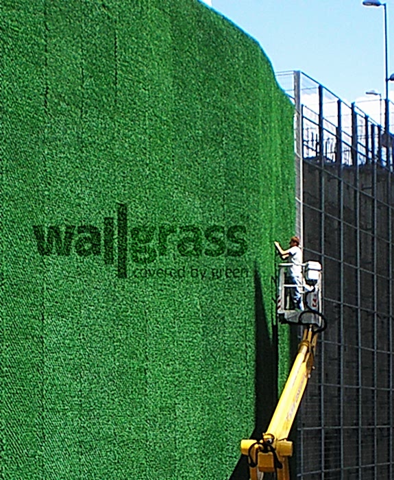 Wallgrass