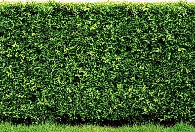 Bahçe Duvarı Uygulaması