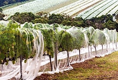 Bahçe File Ağı Uygulaması