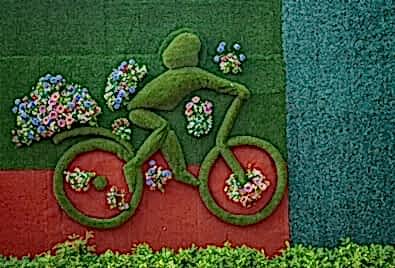 Dikey Peyzaj Uygulaması