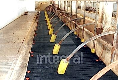 Hayvan Barınağı Zemin Uygulaması