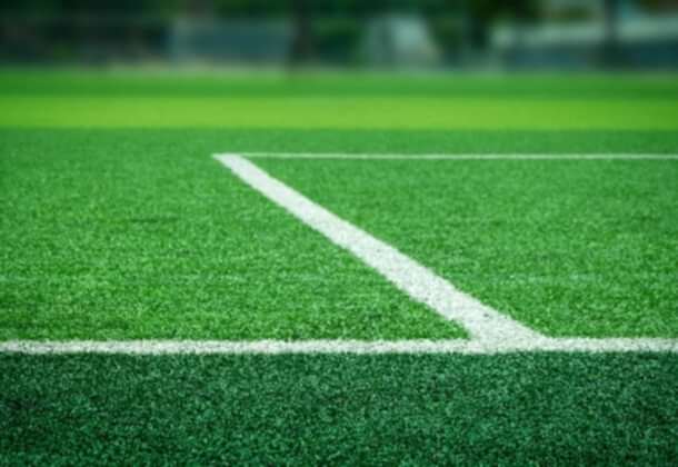 Profesyonel Suni Çim